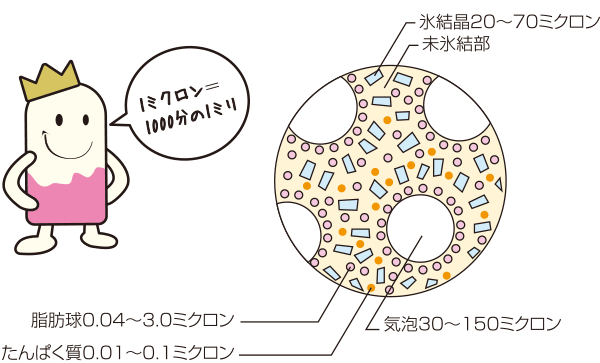 アイスクリームの組織（電子顕微鏡写真）